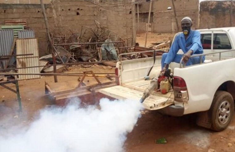 Dengue au Mali : une épidémie à ne pas négliger