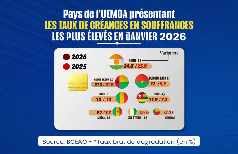 Crise bancaire en uemoa : le niger en tête des impayés avec un taux record