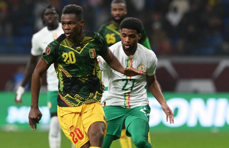 Nouveau sélectionneur du Mali après le départ de tom saintfiet