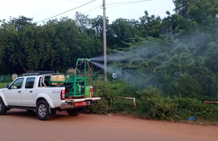 Épidémie de dengue au Burkina Faso : chiffres alarmants et mesures sanitaires