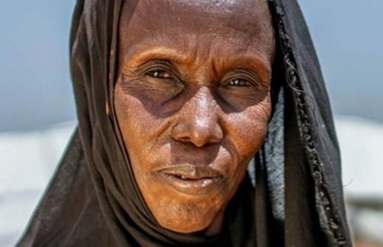 Exposition photos au Mali : sept ong exposent à bruxelles