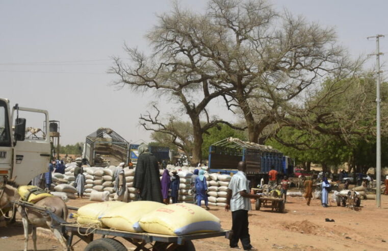 Crise humanitaire au Niger : afflux de déplacés à Téra sous la menace des groupes armés