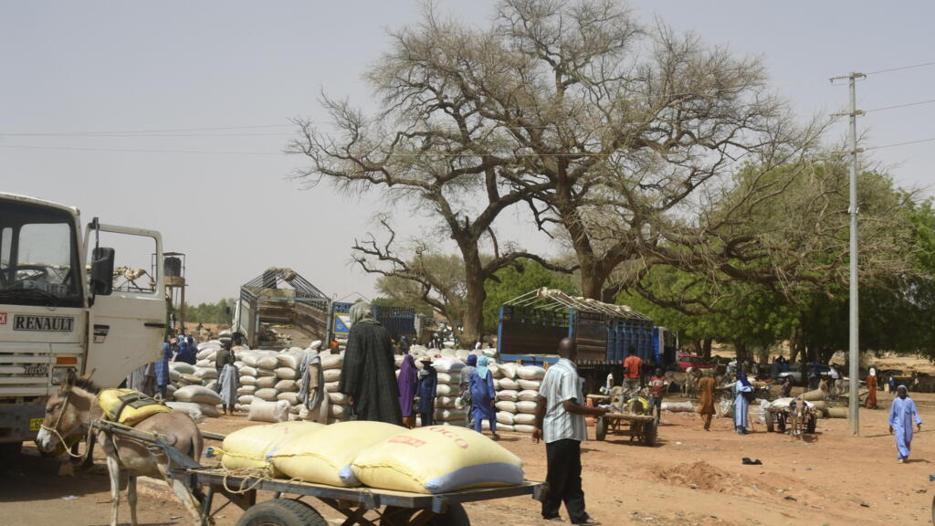 Crise humanitaire au Niger : afflux de déplacés à Téra sous la menace des groupes armés