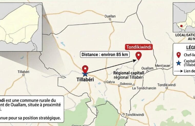 Niger : frappe de drone à Tondikiwindi, le dilemme de la sécurité technologique