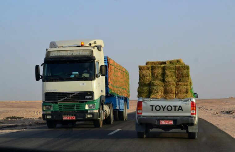 N&rsquo;Djamena modernise les corridors Cameroun Tchad rca pour booster le commerce régional
