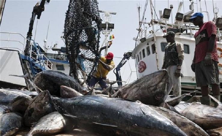 Le Sénégal innove : quatre licences de pêche démersale pour une souveraineté alimentaire renforcée