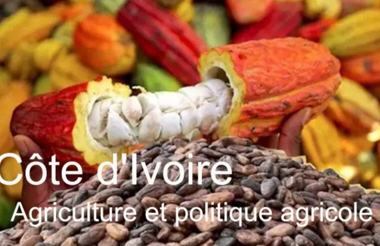 L&rsquo;impact de l&rsquo;agriculture ivoirienne sur l&rsquo;économie et les défis sociaux