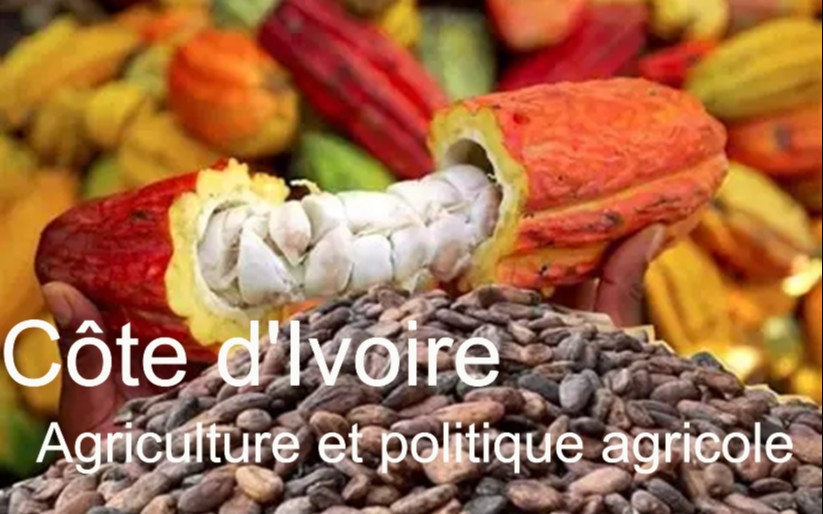 L&rsquo;impact de l&rsquo;agriculture ivoirienne sur l&rsquo;économie et les défis sociaux