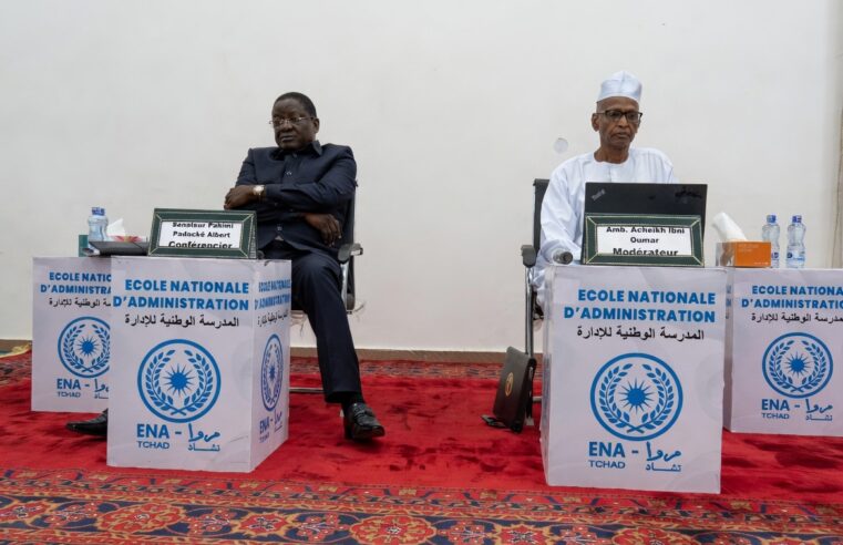 Tchad : comment les conseils provinciaux peuvent-ils booster le développement local ?