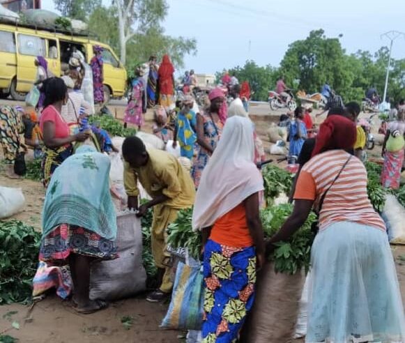 N’djamena entre ordre urbain et lutte contre la pauvreté endémique