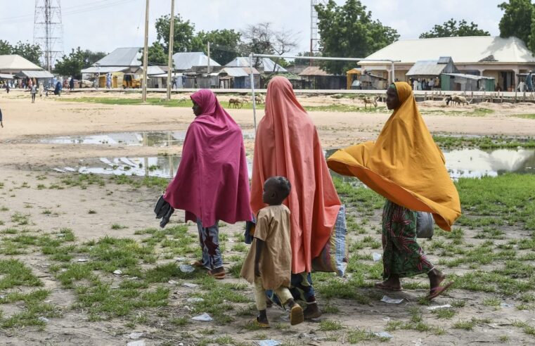 Boko Haram revendique l&rsquo;enlèvement d&rsquo;enfants au sud du Nigeria
