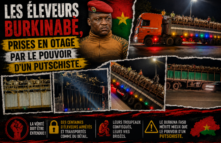 Burkina Faso : le bétail bloqué, les éleveurs face à l&rsquo;impasse des autorités avant ramadan