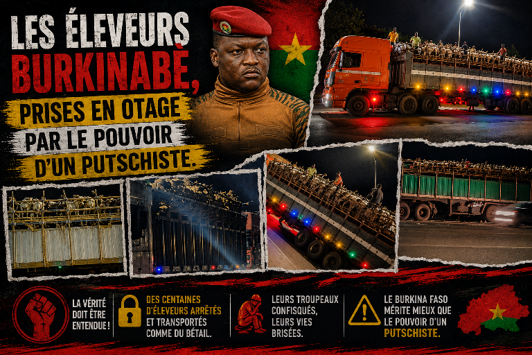 Burkina Faso : le bétail bloqué, les éleveurs face à l&rsquo;impasse des autorités avant ramadan