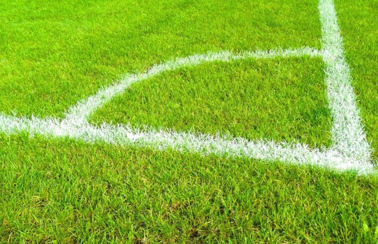 Nice vs Saint-Étienne : comment suivre le barrage décisif en direct ce vendredi soir