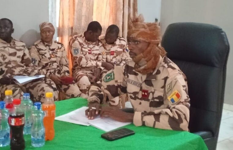 Renforcement des forces mixtes au Tchad et en rca : sécurité accrue aux frontières
