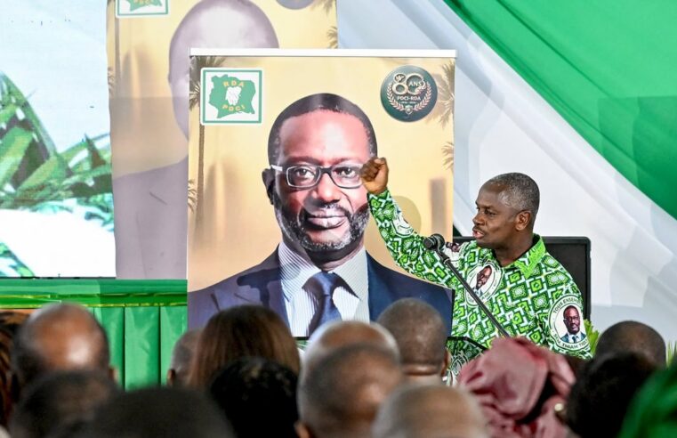 Côte d&rsquo;Ivoire : rivalités internes au rhdp qui fragilisent le pdci de tidjane thiam