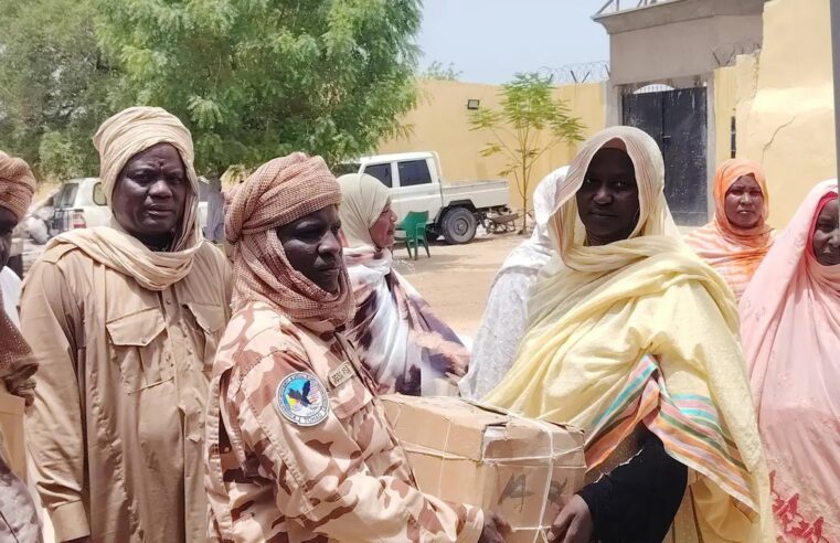 Soutien des femmes du Lac tchadien aux forces anti-Boko Haram