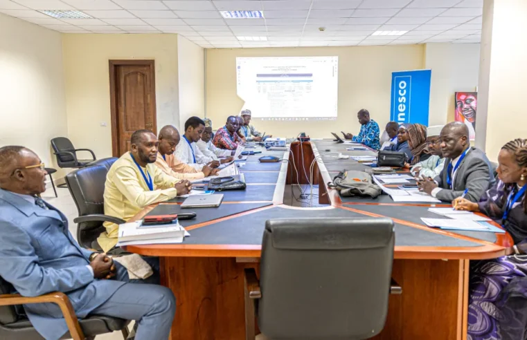 Tchad : une mission d&rsquo;apprentissage sur les tic dans l&rsquo;éducation à Yaoundé