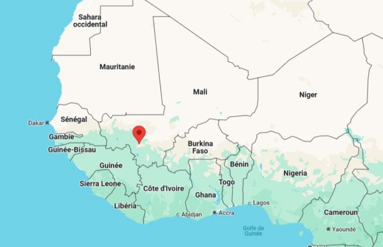 Manifestation populaire au Mali : défense de la démocratie contre la dissolution des partis