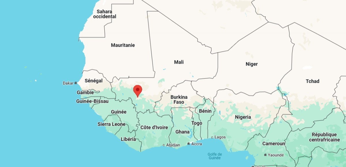 Manifestation populaire au Mali : défense de la démocratie contre la dissolution des partis