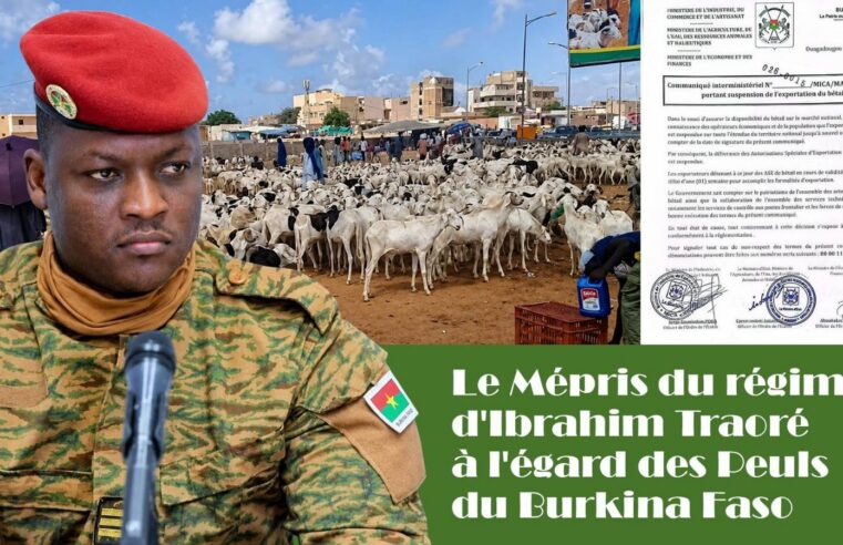 Burkina Faso : les peuls sous le joug d&rsquo;une répression déguisée