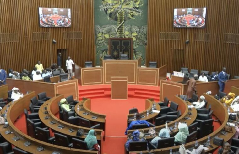 Sénégal : Ousmane Sonko vise la présidence de l&rsquo;Assemblée, l&rsquo;opposition crie au « coup d&rsquo;État »