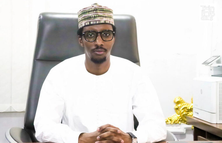 N&rsquo;Djamena rejette les allégations de l&rsquo;ONU concernant les frappes anti-Boko Haram