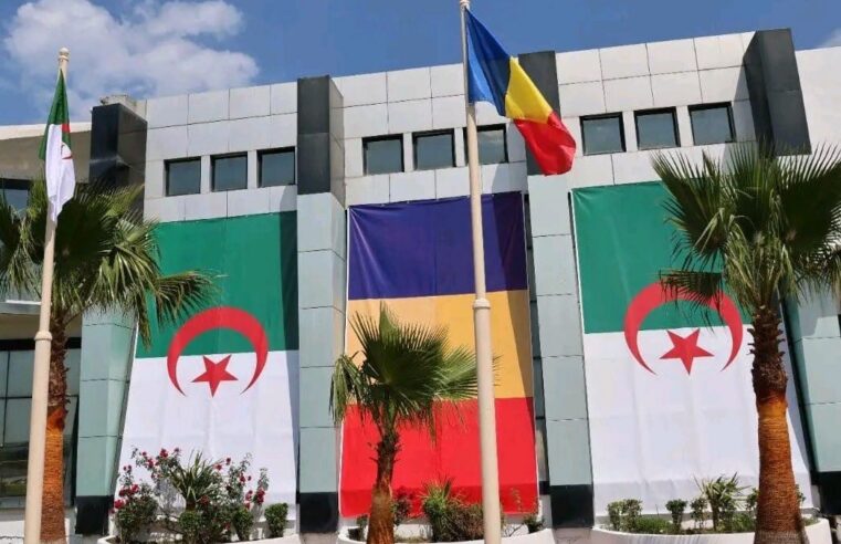 Coopération Tchad Algérie : une histoire d&rsquo;échanges et de partenariats durables