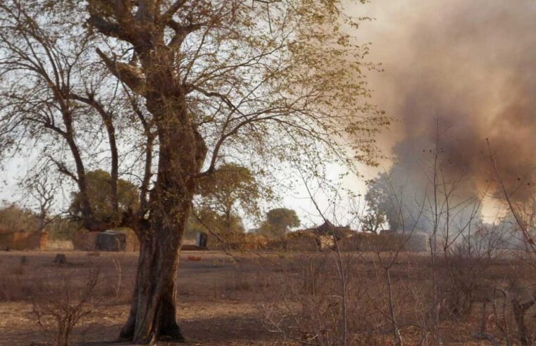 La forêt de Sambisa, un enjeu stratégique majeur dans la lutte des factions extrémistes au Nigeria