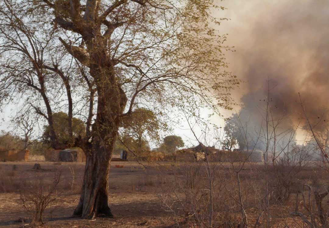 La forêt de Sambisa, un enjeu stratégique majeur dans la lutte des factions extrémistes au Nigeria