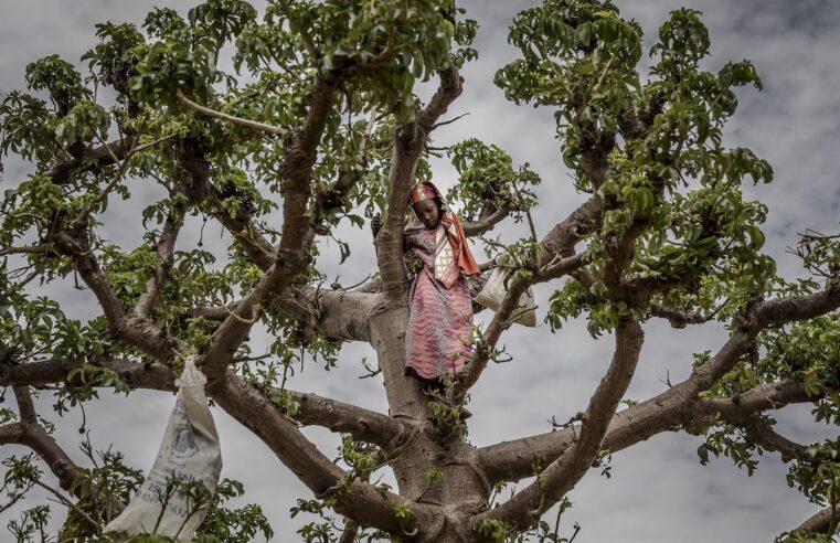 Au Niger, la faim et la précarité s&rsquo;installent durablement
