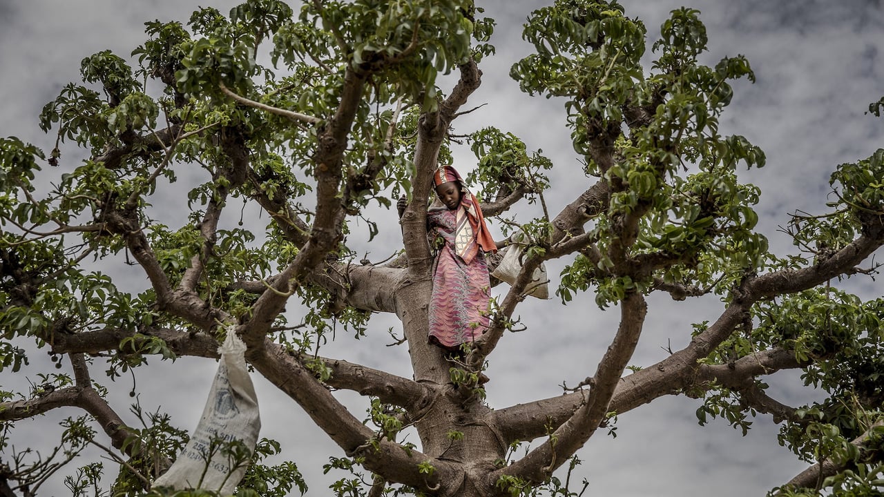 Au Niger, la faim et la précarité s&rsquo;installent durablement
