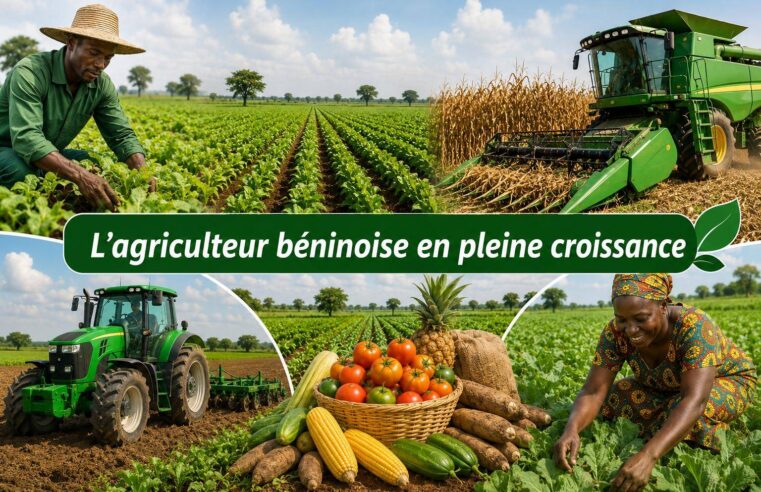 Réforme agricole Bénin : une révolution économique depuis 2016