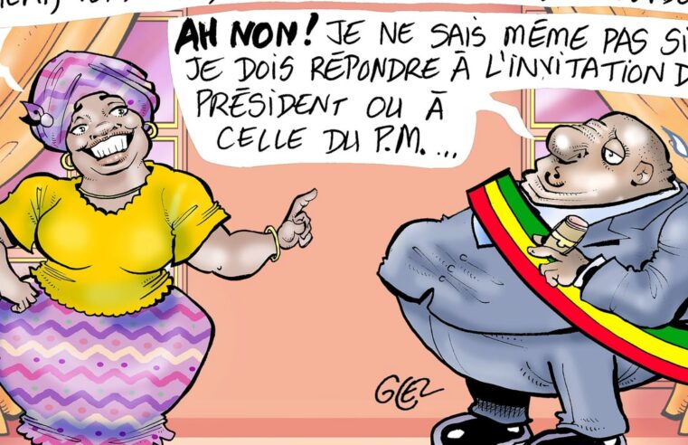 Sénégal : les enjeux des consultations entre Bassirou Diomaye Faye et Ousmane Sonko