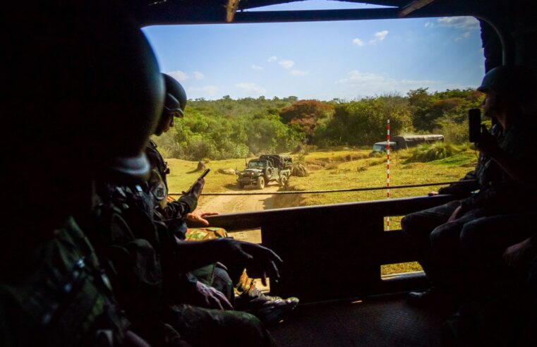 Mali : Bamako verrouille les forêts pour lutter contre les groupes armés