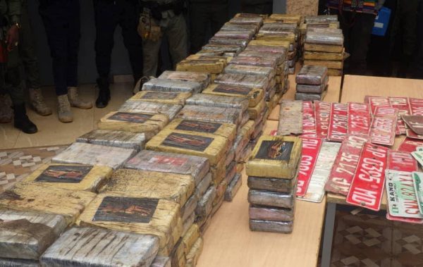Le Niger, acteur clé de la lutte antidrogue au Sahel : les opérations de l&rsquo;OCRTIS