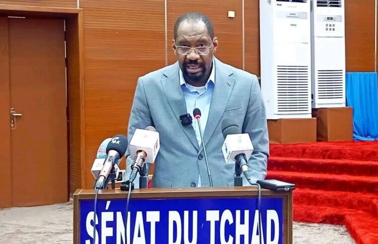 Tchad : mobilisation renforcée contre les violences communautaires
