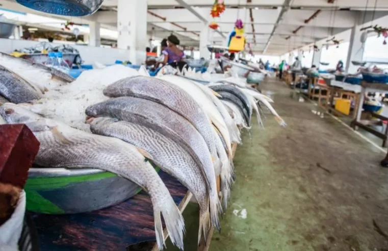 Pêche: le Gabon rompt son accord avec l&rsquo;Union Européenne
