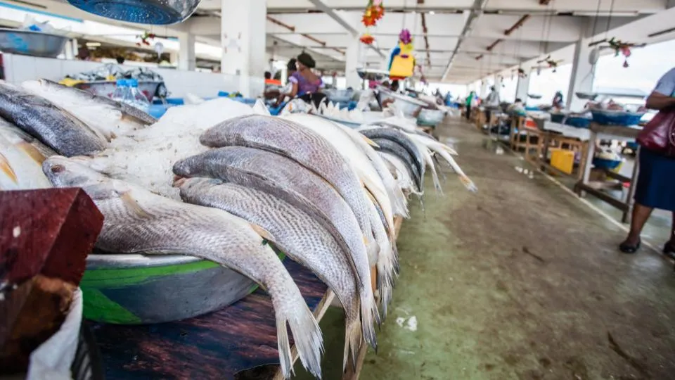 Pêche: le Gabon rompt son accord avec l&rsquo;Union Européenne