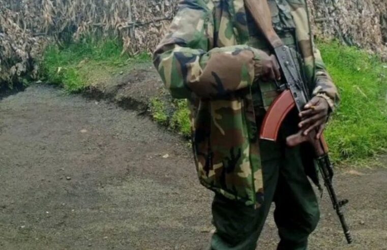 RDC : Washington sanctionne enfin un architecte de la terreur du RDF/M23