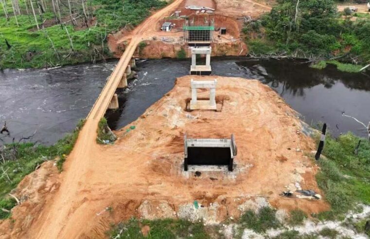 Le pont sur le Dja : une infrastructure clé pour le désenclavement du sud Cameroun