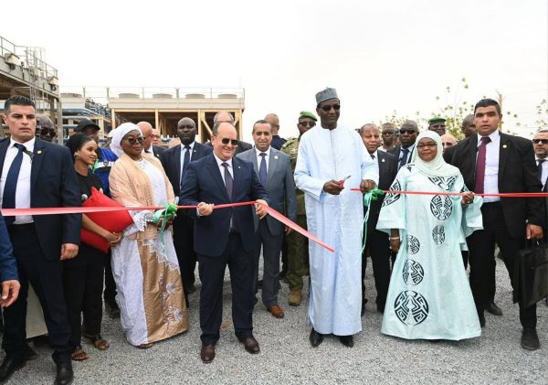 Algerie Niger : une centrale électrique de 40 mw pour renforcer le réseau nigérien