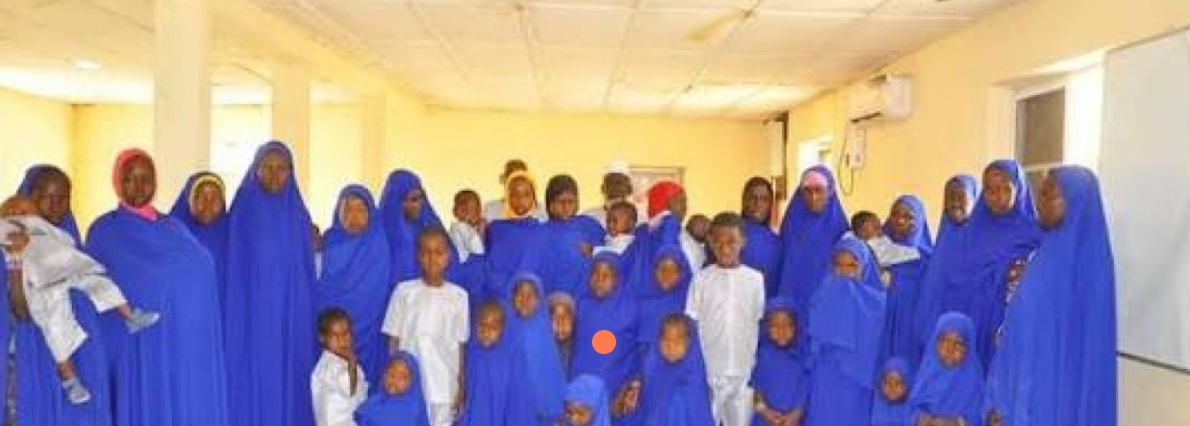 Succès militaire au Nigeria : 47 otages secourus des mains de l&rsquo;ISWAP dans le Borno