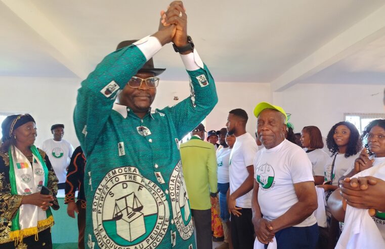 Louis marie kakdeu prend la tête de la commission électorale du sdf au Cameroun