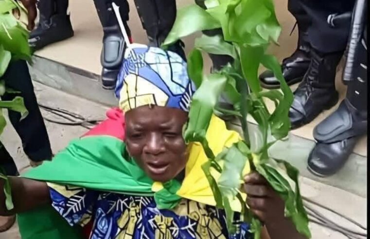 Disparition de « maman Kamto », une figure emblématique du MRC au Cameroun