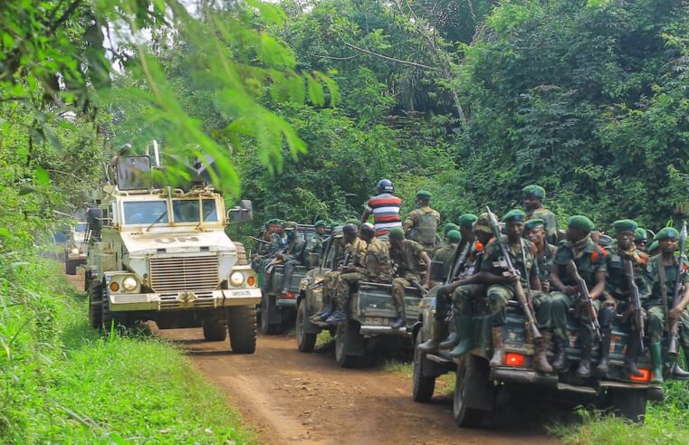 La RDC face à la terreur des ADF : un lourd bilan humain dans l&rsquo;est