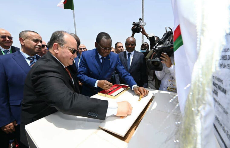 Algérie et Tchad : une centrale électrique pour renforcer leur alliance énergétique