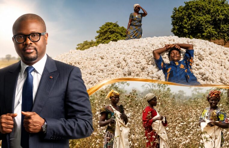 Prime conditionnelle au coton béninois : 10 fcfa par kilo sous objectif de performance