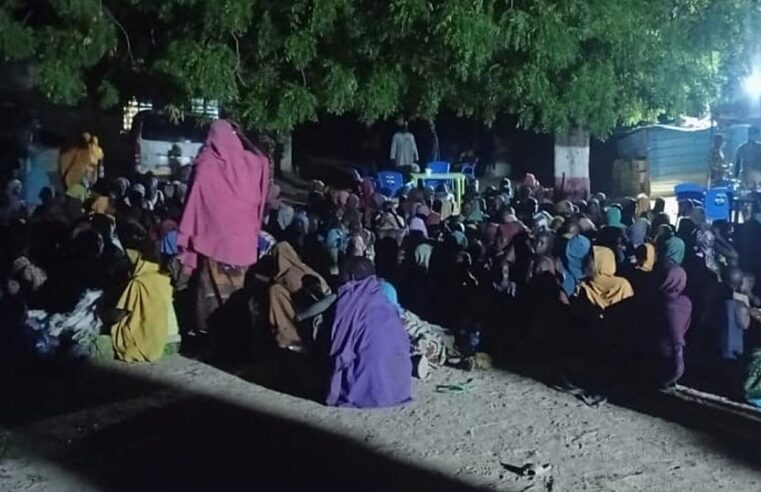 Libération massive d&rsquo;otages par boko haram dans le borno