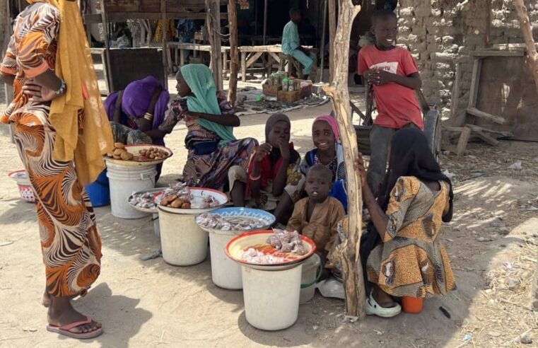Nigeria : libération massive d&rsquo;otages par Boko Haram